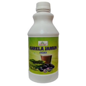 AryanShakti Karela Jamun Juice-500ML