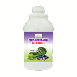 Aryan Shakti Aloevera Neem Jambu Karela Juice 500 Ml
